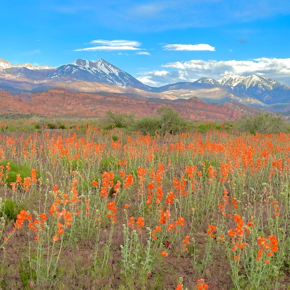 Us🤠🐶🔨 - Picture 8 of 16